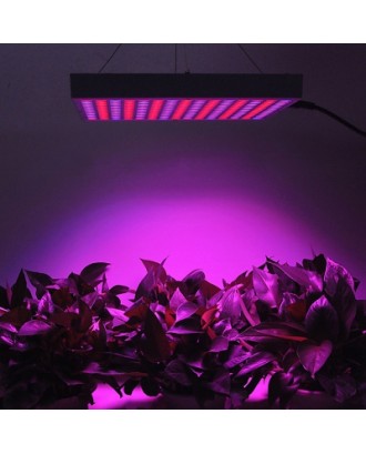 14W Red + Blue LED Plant Grow Light  ( EU Plug )